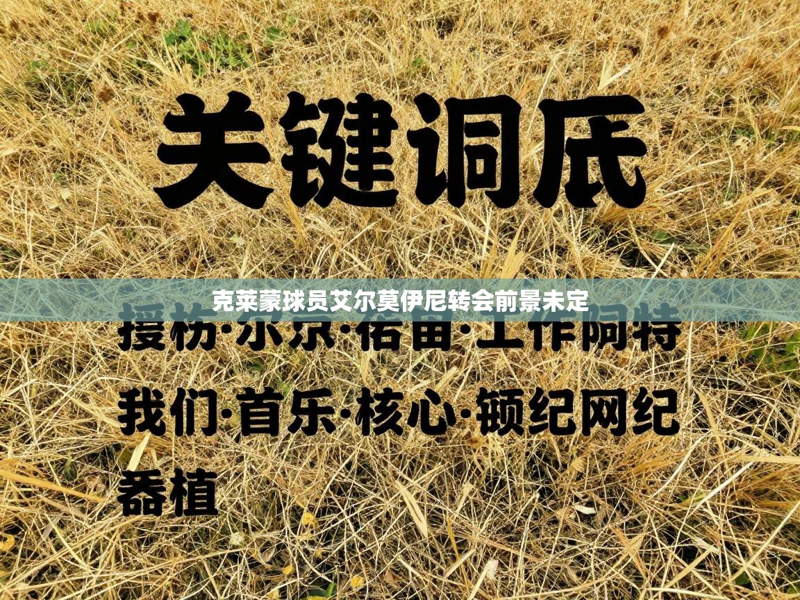 克莱蒙球员艾尔莫伊尼转会前景未定