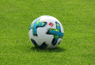 爱游戏-法兰克福遭遇连败，降至中游位置，法兰克福 法国