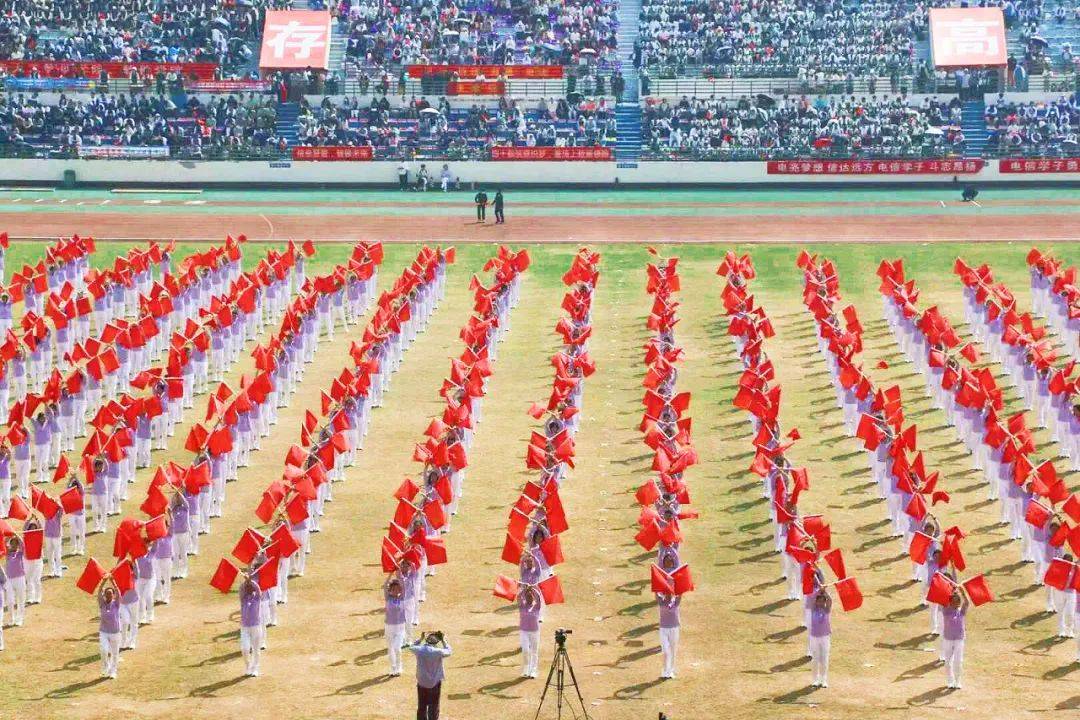 关于体操决赛现场热情高涨，观众欢呼的信息